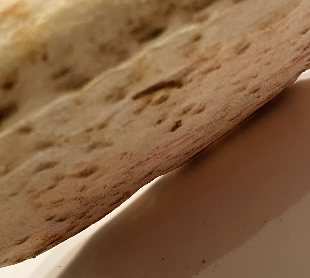Pizza von unten Salamico