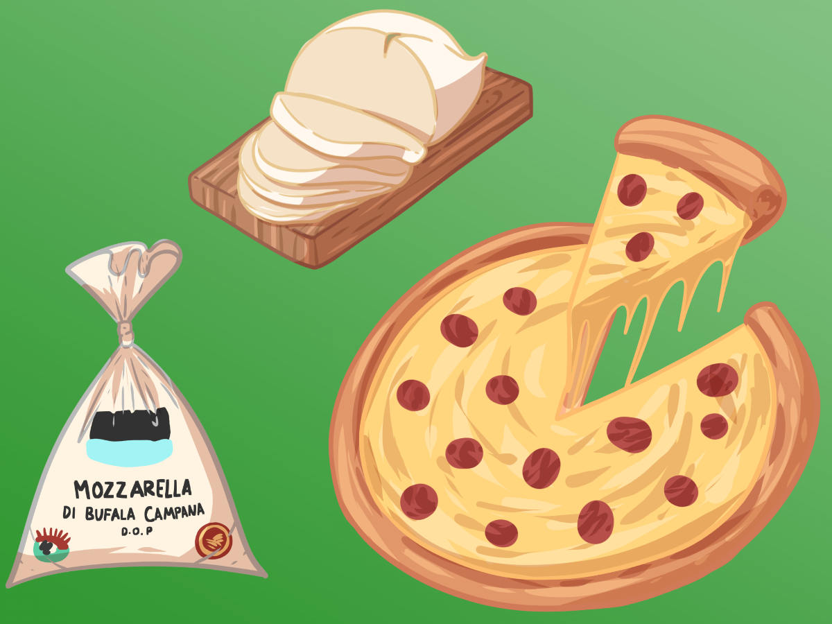Mozzarella, Provolone, Taleggio: Die beliebtesten Käsesorten auf der Pizza