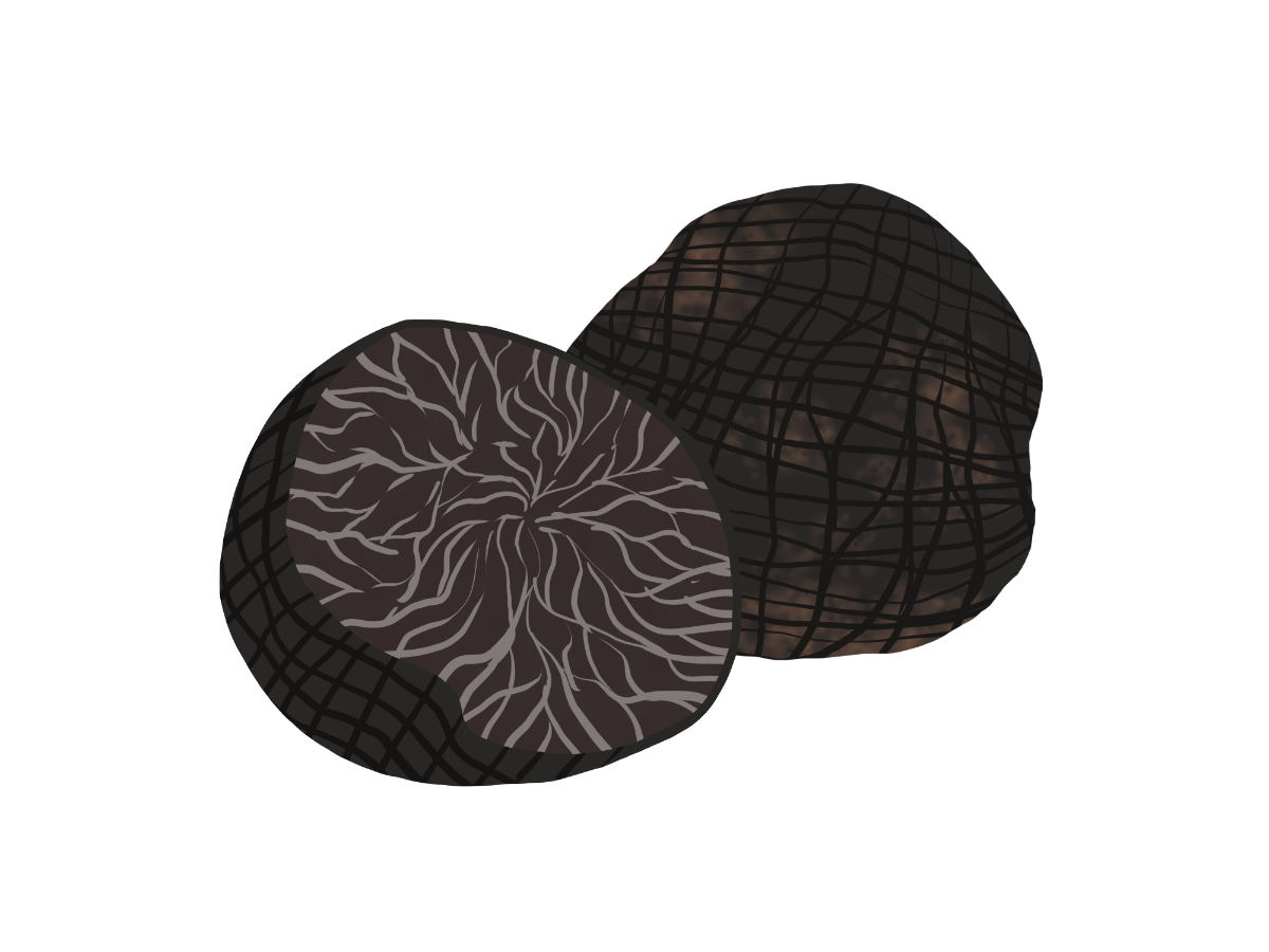 truffel schwarz Salamico